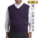 カシミヤ 100% ベスト メンズ シニア ニット セーター カシミア 御祝い 男性 古希 喜寿 卒寿 70歳 77歳 90歳 お祝い 紳士服 紫 ゆったり パ...