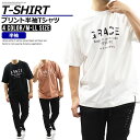 半袖 Tシャツ メンズ (1450N06A) 半袖T