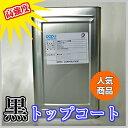 高強度 FRPトップコート黒　1kg 促進