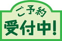 【9月予約】 呪術廻戦 ちょぴぬいぷち2 全3種セット 【後払い不可】