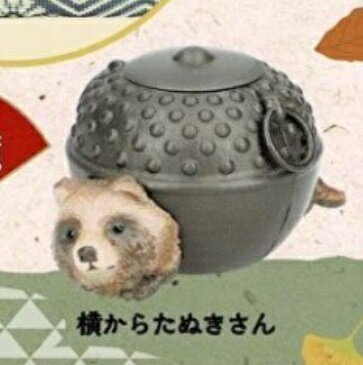 【横からたぬきさん】 ぶんぶくちゃがま 【在庫品】