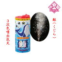 鯨(くじら)NO.300 噴出花火