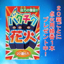 花火 爆竹(バクチク)順利紅炮20連6束入り(1箱)