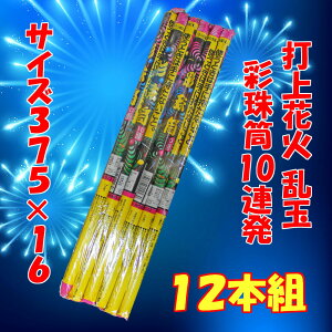 【花火 打上(うちあげ)】新彩珠筒10連 12本組 乱玉花火 連発打上 夜花火