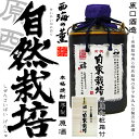 楽天福吉酒店【芋焼酎】西海の薫有機自家栽培 原酒壷 36度 720ml 専用化粧箱付【原口酒造】【白麹仕込み】【黄金千貫】【山紫水明】【ひのひかり】【薩摩焼酎】【農業生産法人】【御中元】【ご贈答】【父の日 お酒 ありがとう 焼酎 感謝 ギフト】