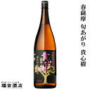 【春季限定品 本格芋焼酎】春薩摩 旬あがり 貴心樹 (はるさつま ときあがり きしんじゅ) 25度 1800ml【オガタマ酒造】【新酒】【鹿児島定番】