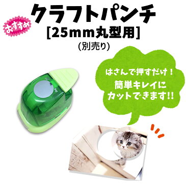 ハメパチ 【 □ ストラップ】 【 □ 25mm 丸型】 【 □ 10個セット】 【 □ OPP袋付き】 手作り アクセサリー 記念品 部活 引退 スポーツ プレゼント ギフト オリジナル 押し花(ネコポス可)