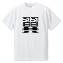 一文字漢字 Tシャツ 【58】【翼】【S・M・L サイズ選べます】 オリジナル 【ポジティブグッズ】PSTV