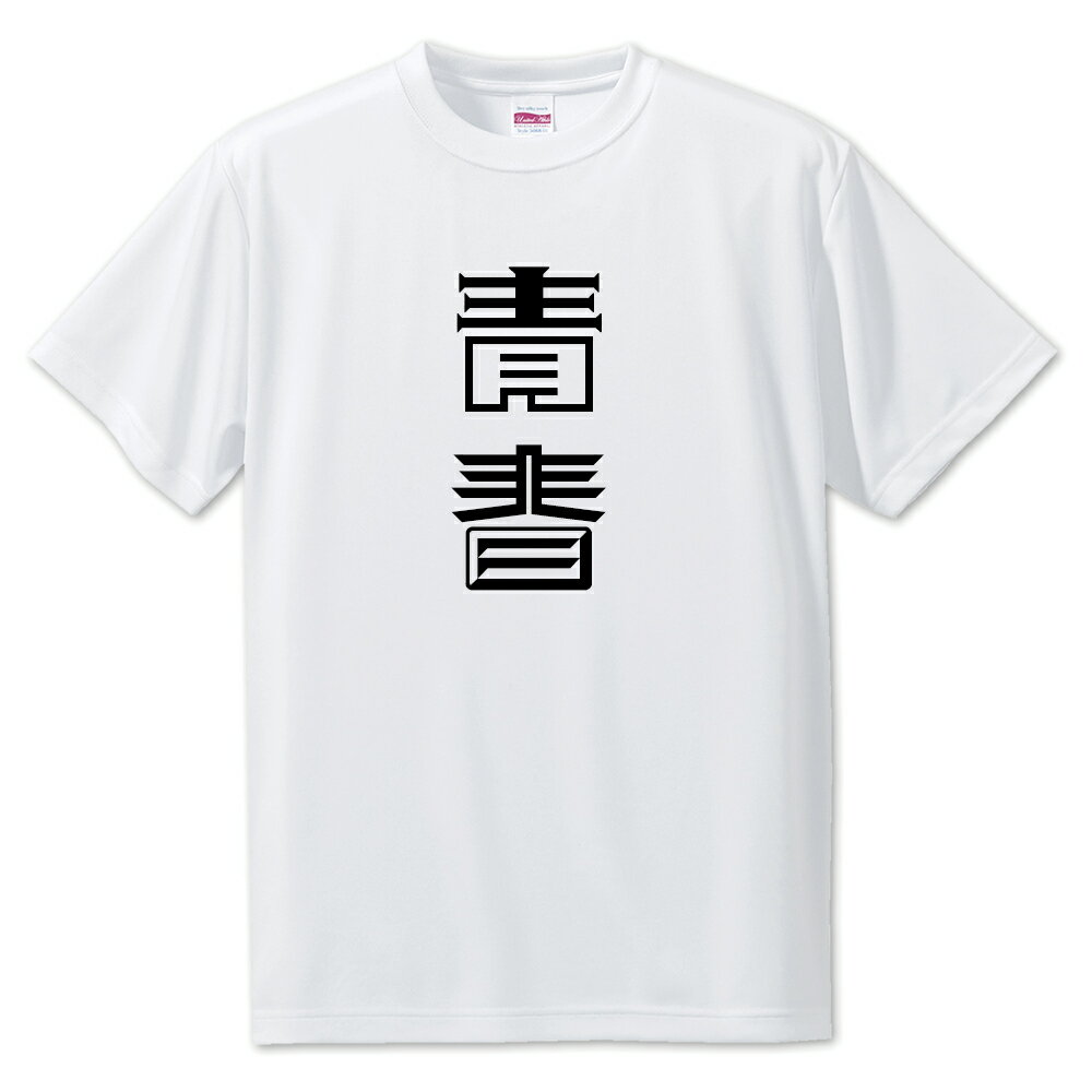 ニ文字漢字 Tシャツ 【22】【青春】【S・M・L サイズ選べます】 オリジナル 【ポジティブグッズ】PSTV
