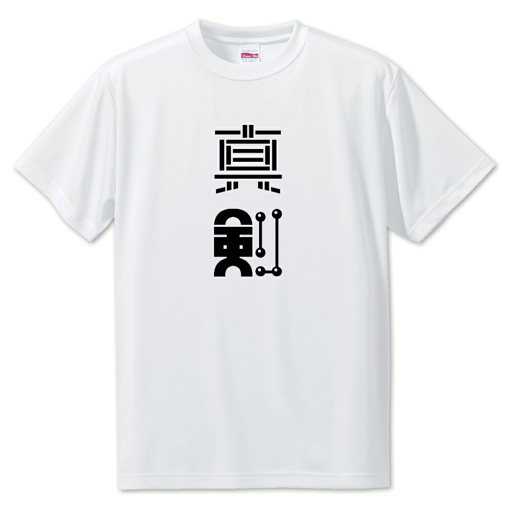 ニ文字漢字 Tシャツ 【27】【真剣】【S・M・L サイズ選べます】 オリジナル 【ポジティブグッズ】PSTV