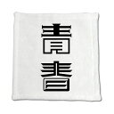 二文字漢字 ハンドタオル 【22】【青春】 当店 オリジナル ハンカチサイズ ウォッシュタオル プレゼント お子様 に 【ポジティブグッズ】PSTV