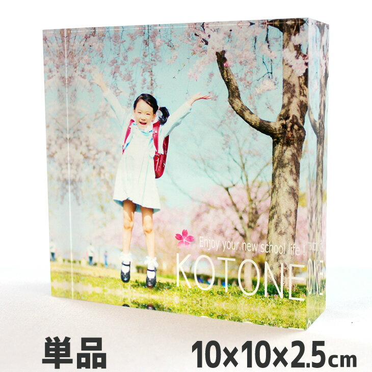 Web deco  ֥å ۡ10102.5cm ̿ ե 륭塼 ե  䤷  ...