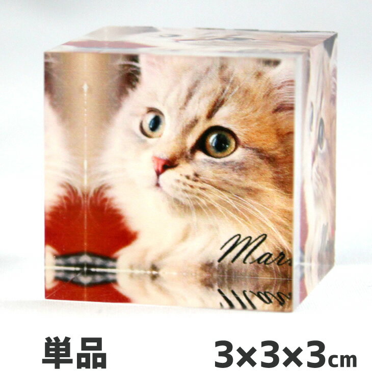 Web deco  ֥å ۡ333cm ̿ ե 륭塼 ե  䤷  ץ쥼...
