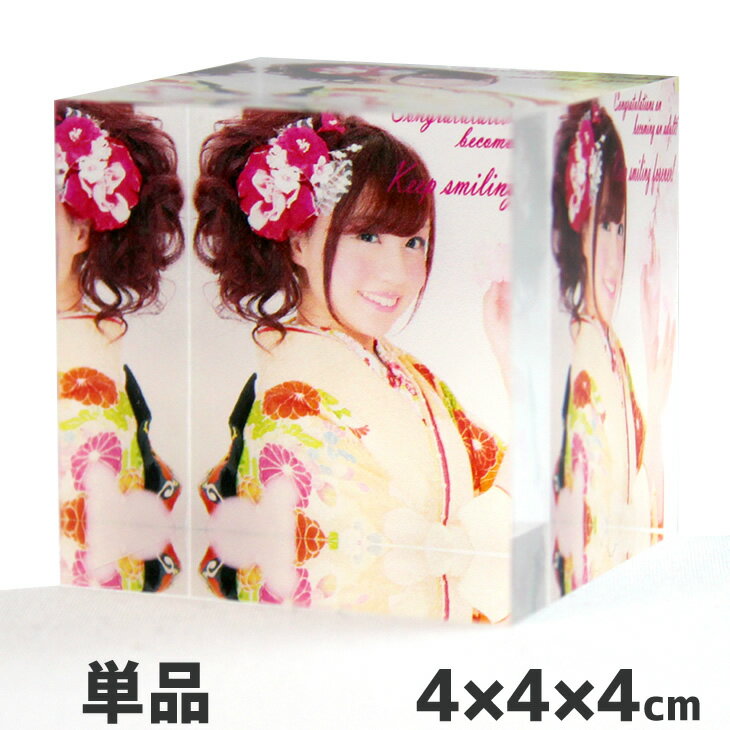 Web deco  ֥å ۡ444cm ̿ ե 륭塼 ե  䤷  ץ쥼...