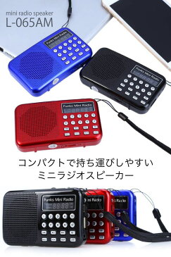 ポータブル ラジオ DSP 携帯ラジオ AM FM 録音 懐中電灯 ミニ デジタル ラジオ スピーカー MP3 WMA 再生 L-065AM 商品 通販 ボイスレコーダー 小型 長時間 mp3プレーヤー 本体 防災 地震 災害