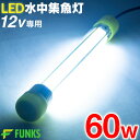 【一年保証】集魚灯 ホワイト 60w LED 集魚ライト 水中集魚灯 12v 白 ライト 照明 灯 夜灯 水中ライト 水中LEDライト led集魚灯 イカ釣り イカ シラスウナギ タチウオ アジ イサキ タイラバ 夜釣り 夜焚き 水中 釣り ヒラメ 潜水ライト 60 船 防波堤 堤防 船舶 ボート その1