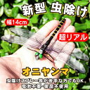 auc-funksstore:10011829のサンプル画像3