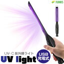 ブラックライト LED 2本セット 紫外線 ペンライト UVライト 21 灯 ネイルライト ハンディーライト UV 懐中電灯 ストラップ付き UV レジン 汚れ 釣り 蓄光力 絨毯 尿跡 アニサキスライト