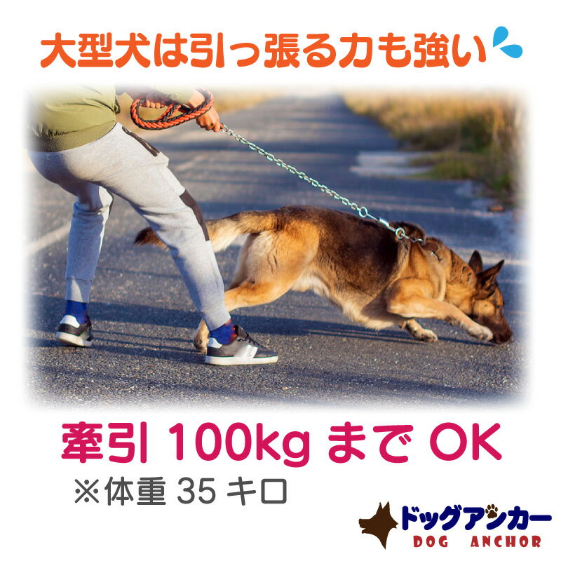 ドッグアンカー 犬用アンカー ドッグポール 大型犬 大型犬用 杭 係留 キャンプ アウトドア 犬 中型犬 小型犬 ペグ 回転 犬用 アンカー つなぐ リード 埋め込み 土 芝 コンクリート アスファルト ドッグ ポール ドライブ ペット用品 リードフック 係留ポール ペット 犬用品