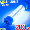 【一年保証】集魚灯 青 200w 10000ルーメン LED 集魚ライト 水中集魚灯 12v 青色 200 ブルー 水中灯 シラスウナギ ライト イカ釣り イカ ヤリイカ ナイトタイラバ 夜灯 水中ライト 水中LEDライト led集魚灯 タチウオ アジ イサキ タイラバ アオリイカ 夜釣り 夜焚き 水中