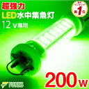  Nۏ W O[ 200w LED WCg W VXEiM 16000[ 12v  Cg Ɩ  铔 Cg LEDCg ledW  CJ ^`EI AW CTL ^Co CJނ ނ 镰 {[g q  ނ 200 D