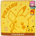 ポケモン タオルハンカチ 繊維雑貨 ハンカチ ハンカチ・雑貨セット