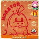 ポケモン タオルハンカチ 繊維雑貨 ハンカチ ハンカチ・雑貨セット