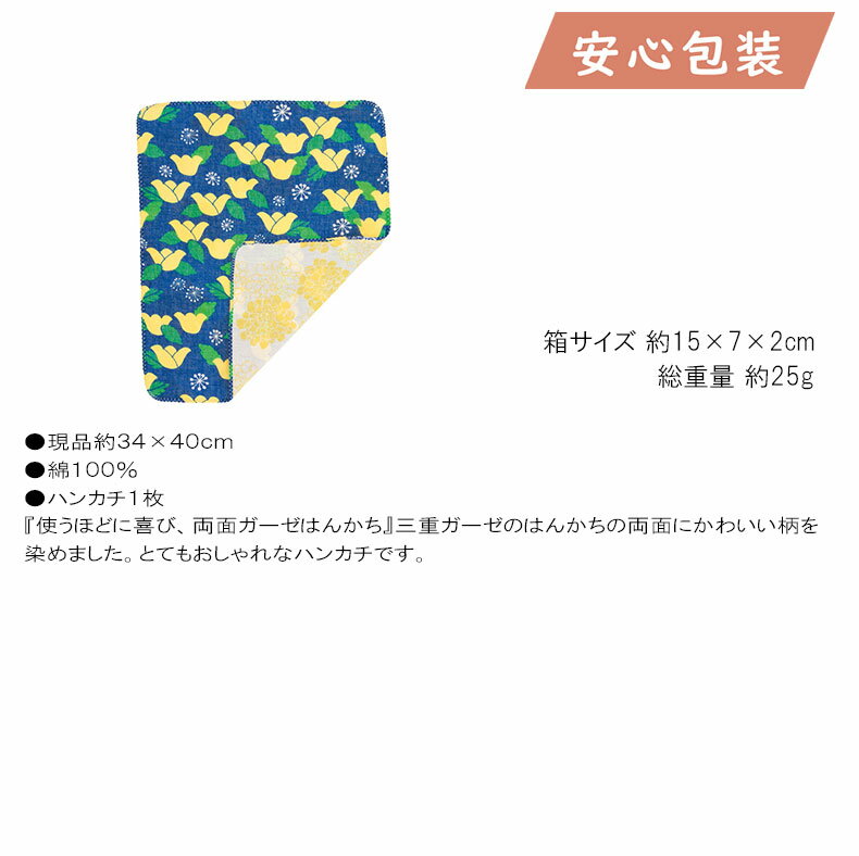 【送料無料】乳蔵　北海道アイスクリーム5種12個　110131【ギフト館】