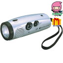 遅れてごめんね 対応 母の日 節句 お返し 内祝い ギフト 2025年 パームラジオライト 電化製品 電化製品電池機器 機能付きライト