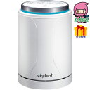 敬老の日 残暑 お見舞い 節句 お返し 内祝い ギフト 2025年 シチズン UV除菌空気清浄機 電化製品 電化製品季節機器 の季節電化機器