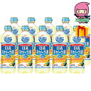 お中元 御中元節句 お返し 内祝い ギフト 2025年 日清 キャノーラ油600g(10本) 食料品 食用油 食用油