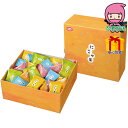 お中元 御中元節句 お返し 内祝い ギフト 2025年 にこや菓L 食料品 和菓子 おかき・あられ