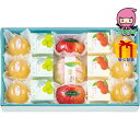 宗家 源 吉兆庵 源 吉兆庵の夏菓撰 食料品 和菓子 多品種セット