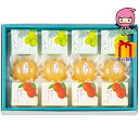 宗家 源 吉兆庵 果実のぜりぃしゃーべっと詰合せ 食料品 和菓子 多品種セット