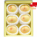 お中元 御中元 暑中 残暑 お見舞い お中元 御中元岡山県産 岡山白桃(1.2kg) 食料品 産地直送品 農産物