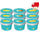 敬老の日 残暑 お見舞いザ・スウィーツ 日本の柑橘シャーベット(9個) 食料品 乳製品 アイスクリーム