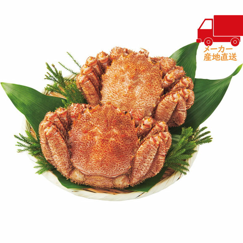 ＼本日ポイントバック 最大24倍！／全国送料無料 送料無料 2025 お歳暮 御歳暮 お歳暮ギフト 冬のギフト 贈り物 北海道産 ボイル毛ガニ（2杯） 食料品 産直農産 カニ