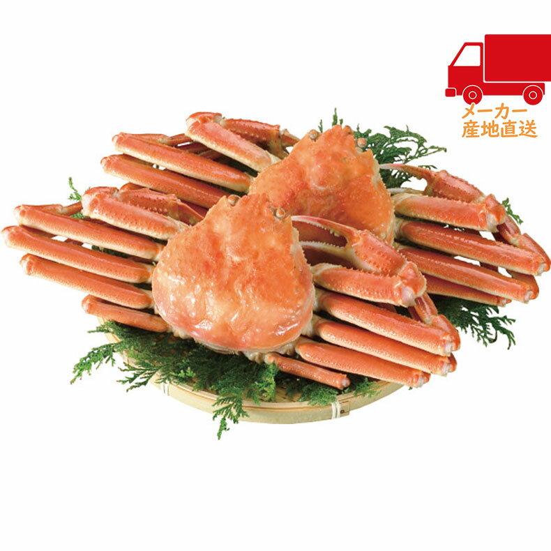 ＼本日ポイントバック 最大24倍！／全国送料無料 送料無料 2025 お歳暮 御歳暮 お歳暮ギフト 冬のギフト 贈り物 ボイルずわいがに姿（2杯 計1kg） 食料品 産直農産 カニ