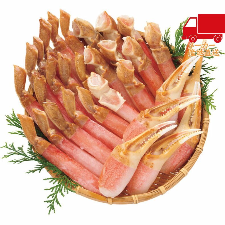 ＼本日ポイントバック 最大24倍！／全国送料無料 送料無料 2025 お歳暮 御歳暮 お歳暮ギフト 冬のギフト 贈り物 生ずわいがに食べつくしセット（計900g） 食料品 産直農産 カニ