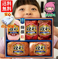 お歳暮 御歳暮 送料無料 ハム ギフト お得 丸大ハム 煌彩 (こうさい) MV-480