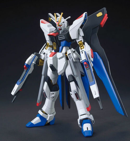 HGCE 201 1/144 ZGMF-X20A ストライクフリーダムガンダム ガンプラ