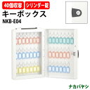 キーボックス シリンダー式 NKB-E04 40個収容 W223×D65x高さ327mm キーケース ナカバヤシ