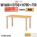 介護用テーブル 施設 幅1600x奥行750x高さ700～750mm 高さ調節 E-FHO-1675K 角型 【法人様配送料無料(北海道 沖縄 離島を除く)】 福祉施設用テーブル 介護施設用 ダイニングテーブル 介護施設 老人ホーム デイサービス グループホーム