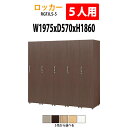 ロッカー 1段5人用 RGFJLS-5 幅1975×奥行570x高さ1860mm 送料無料(北海道・沖縄・離島を除く)更衣室 施設 オフィス 木製ロッカー 着替...