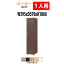 ロッカー 1段1人用 RGFJLS 幅395×奥行570x高さ1860mm 送料無料(北海道・沖縄・離島を除く)更衣室 施設 オフィス 木製ロッカー 着替え用 ...