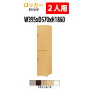 ロッカー 上下2段2人用 RGFJLW 幅395×奥行570x高さ1860mm 送料無料(北海道・沖縄・離島を除く)更衣室 施設 オフィス 木製ロッカー 着替え...