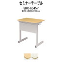 学習机 塾テーブル セミナーテーブル カバン掛用フック付 SKC-6545P W650x奥行450x高さ700mm 研修 講義 学校 会議用テーブル 会議室 学習デスク