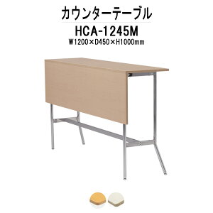 カウンターテーブル 2人用 HCA-1245M 幅1200mm×奥行450mm×高さ1000mm パネル付 【法人様配送料無料(北海道 沖縄 離島を除く)】 店舗テーブル 食堂テーブル ダイニングテーブル 社員食堂用テーブル 会議室 打ち合わせ ロビー