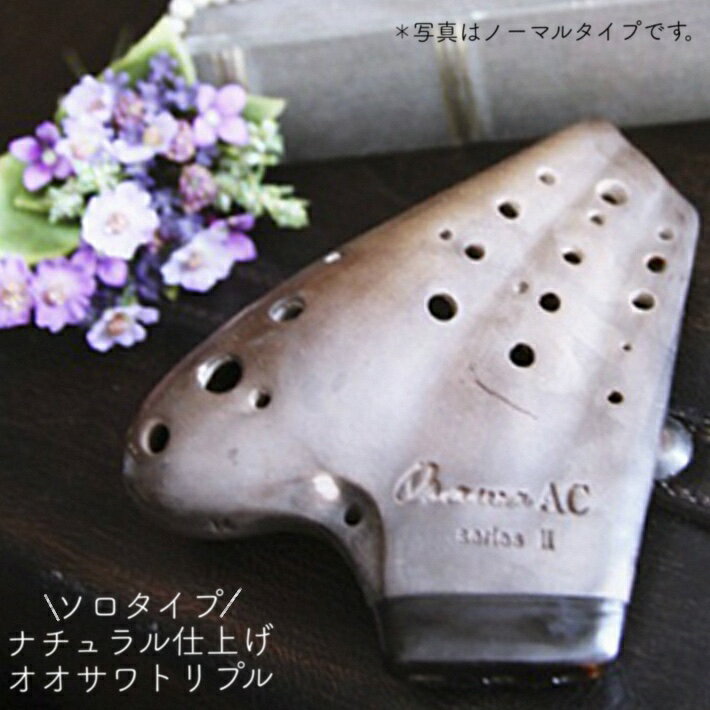 楽天市場】オオサワオカリナ トリプルの通販 楽天市場】オオサワオカリナ トリプルの通販