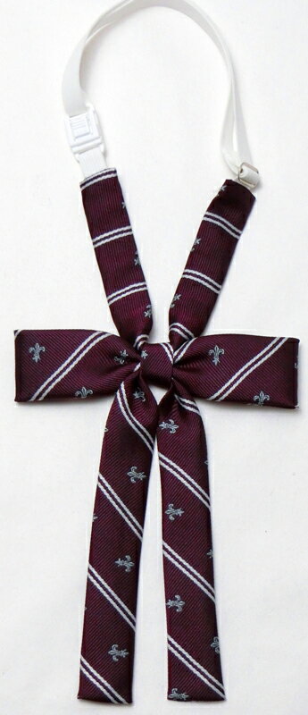 BDスクールミズギ カラー:SAX サイズ:140